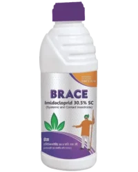 Brace