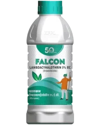 Falcon