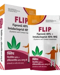 Flip