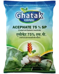 Ghatak
