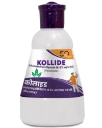 Kollide