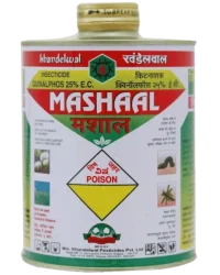 Mashaal