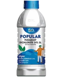 paraquat dichloride 24% SL
