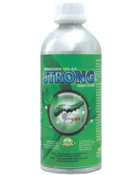 Strong