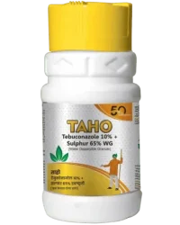 Tebuconazole 10% + Sulphur 65% WG Fungicide