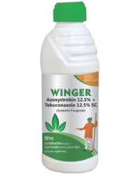 Winger