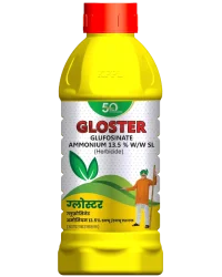 Gloster