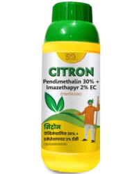 Citron