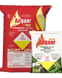Angaar DP