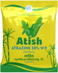 Atish