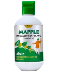 Mapple