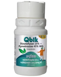 Qbik