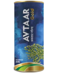 Avtaar Gold