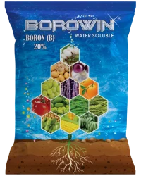 Borowin