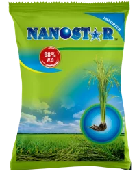 Nanostar