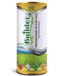 Builder Plus