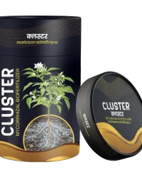 Cluster
