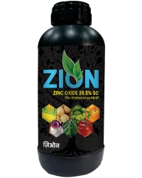 Zion